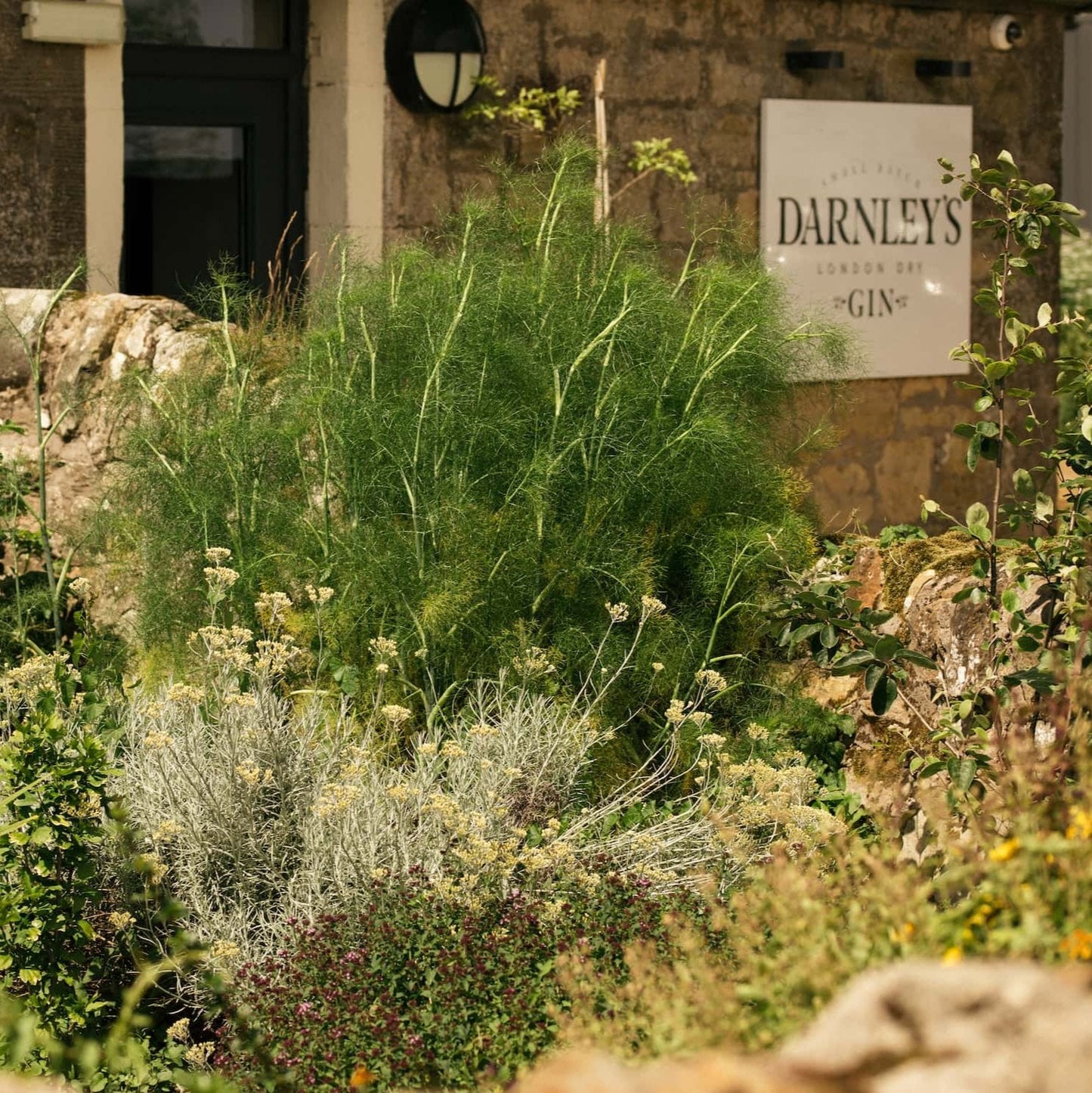 Kingsbarns Distillery USA